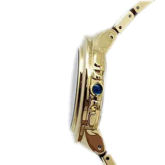 Charles Delon Casual Style Gold/Brown Watch